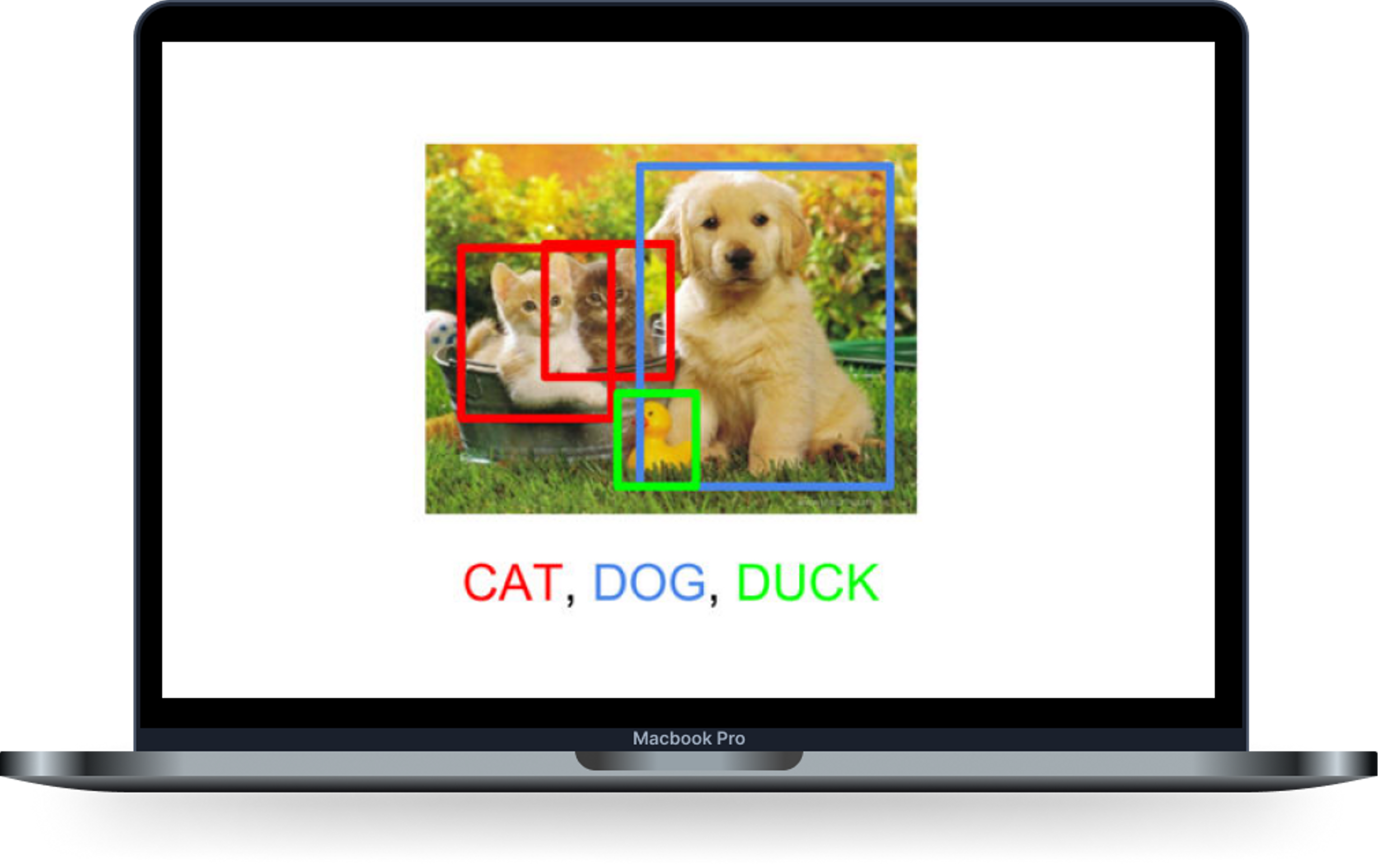 Object Detection